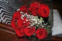 Meine Geburtstagsrosen