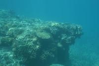 Cairns - Great Barrier Reef