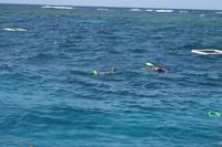 Cairns - Great Barrier Reef