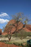 Wanderung an den Olgas