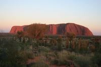 Sonnenaufgang am Ayers Rock