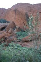 Spaziergang am Ayers Rock