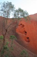 Am Ayers Rock