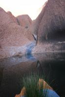 Wasserloch am Ayers Rock