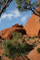 Spaziergang am Ayers Rock