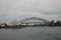 Harbour Bridge und Opernhaus Sydney