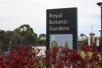 Botanischer Garten Sydney