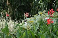 Botanischer Garten Sydney