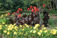 Botanischer Garten Sydney