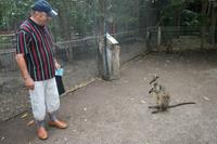 Im Featherdale Tierpark