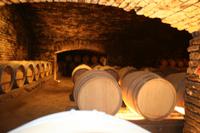 Weingut Concha y Toro