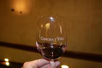 Weingut Concha y Toro