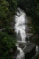 Nationalpark Tijuca in Rio de Janeiro