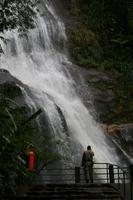 Nationalpark Tijuca in Rio de Janeiro