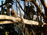 Rio de Janeiro - 16 Tage Rundreise Brasilien – Naturwunder in Südamerika