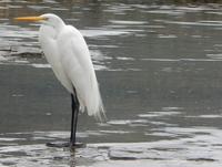 Paraty - 16 Tage Rundreise Brasilien – Naturwunder in Südamerika