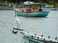 Paraty - 16 Tage Rundreise Brasilien – Naturwunder in Südamerika