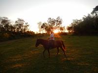 Pantanal - 16 Tage Rundreise Brasilien – Naturwunder in Südamerika
