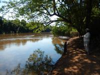 Pantanal - 16 Tage Rundreise Brasilien – Naturwunder in Südamerika
