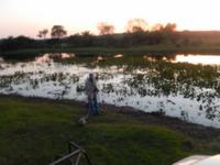 Pantanal - 16 Tage Rundreise Brasilien – Naturwunder in Südamerika