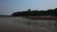 Amazonas Dürre