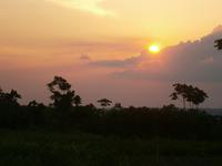 Amazonas