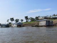Amazonas