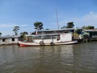 Amazonas
