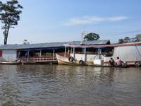 Amazonas