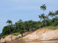 Amazonas