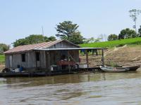 Amazonas