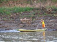 Amazonas