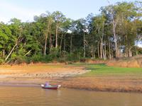Amazonas