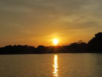 Amazonas