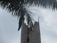 IMG_1553