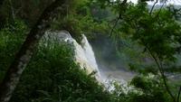 Iguazu Nationalpark