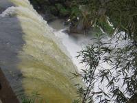 Iguazu Wasserfälle