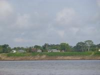 Im Amazonas-Gebiet
