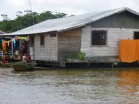 Im Amazonas-Gebiet