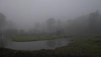 Morgenstimmung Amazonas