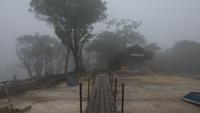 Morgenstimmung Amazonas