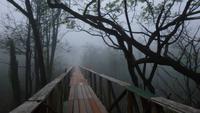 Morgenstimmung Amazonas