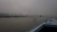 Morgenstimmung Amazonas