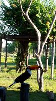 Pantanal - 16 Tage Rundreise Brasilien – Naturwunder in Südamerika