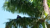 Pantanal - 16 Tage Rundreise Brasilien – Naturwunder in Südamerika
