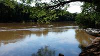 Pantanal - 16 Tage Rundreise Brasilien – Naturwunder in Südamerika