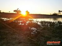 Pantanal