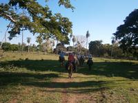 Pantanal