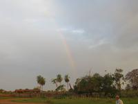 Pantanal