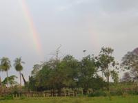 Pantanal